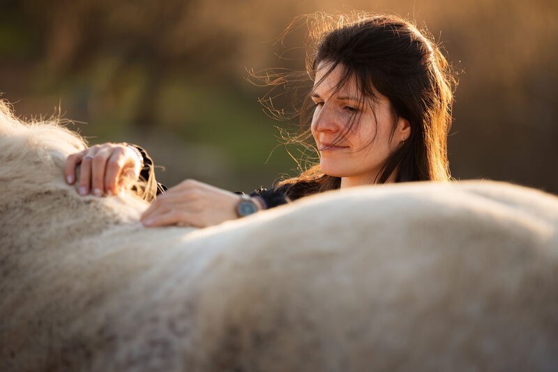 Therapie an einem weißen Pferd